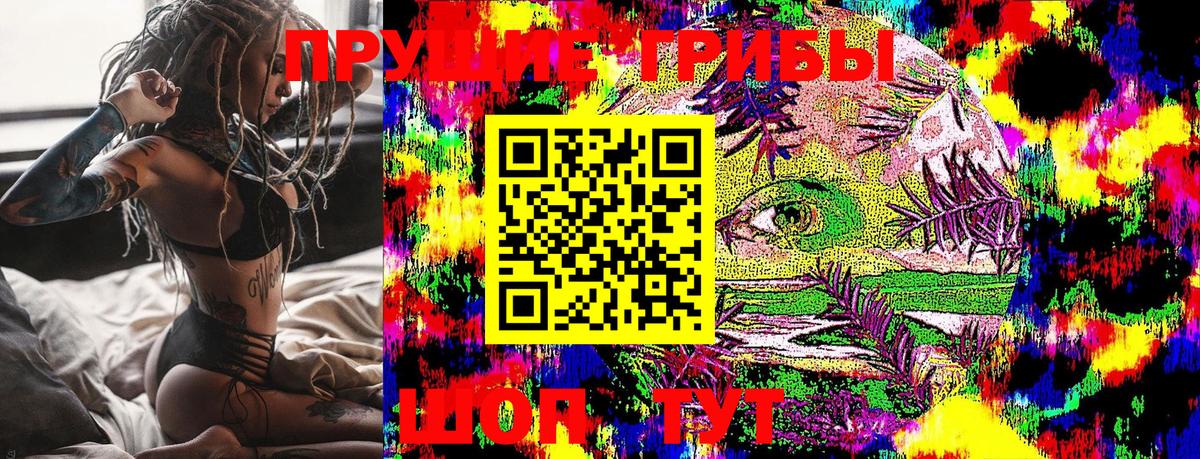 как найти закладки  Вход с VPN  Пушкино  Псилоцибиновые грибы мицелий 